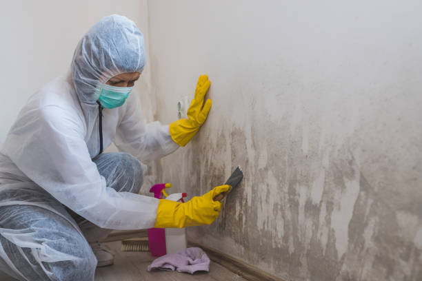 Mold Remediation for Rental Properties in Colesville, MD